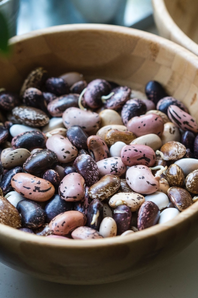 Разноцветная фасоль в деревянной миске на столе