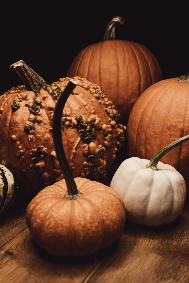 Тыква разной формы осенью