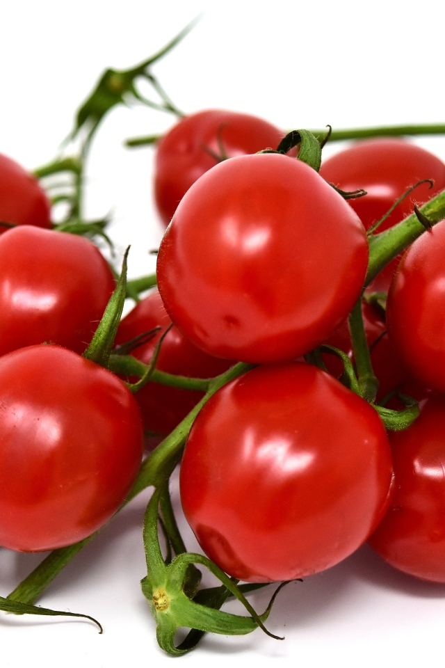 Маленькие красные помидоры черри