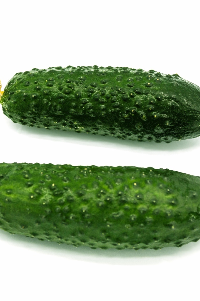 Два зеленых огурца на белом фоне