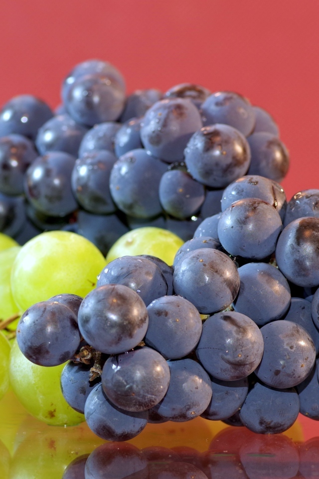 Синий и зеленый виноград на красном фоне