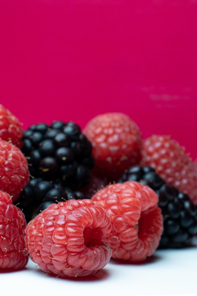 Ягоды черники и малины на красном фоне