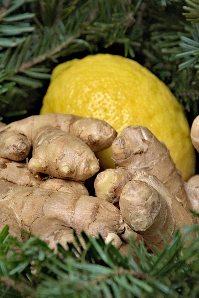 Имбирь с лимоном в еловых ветках