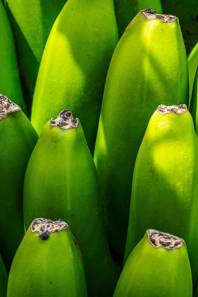 Зеленые бананы крупным планом