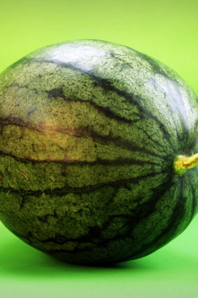 Большой полосатый арбуз на зеленом фоне крупным планом