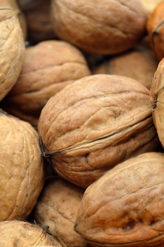 Много грецких орехов крупным планом