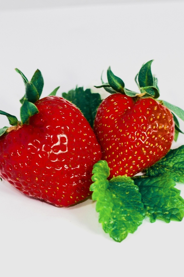 Красная клубника с листьями мяты на сером фоне