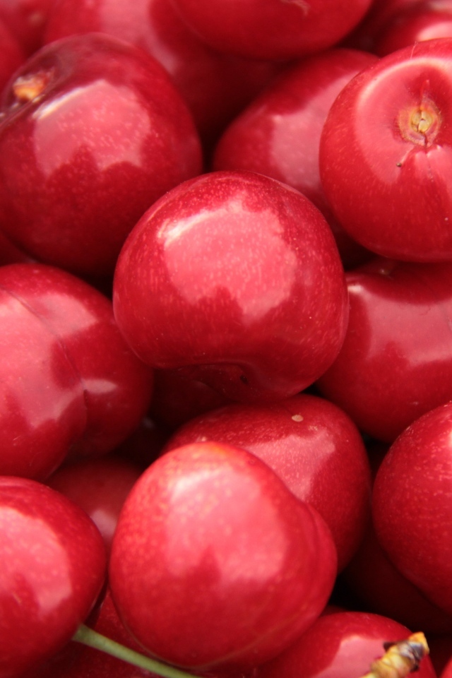 Спелые красные черешни крупным планом