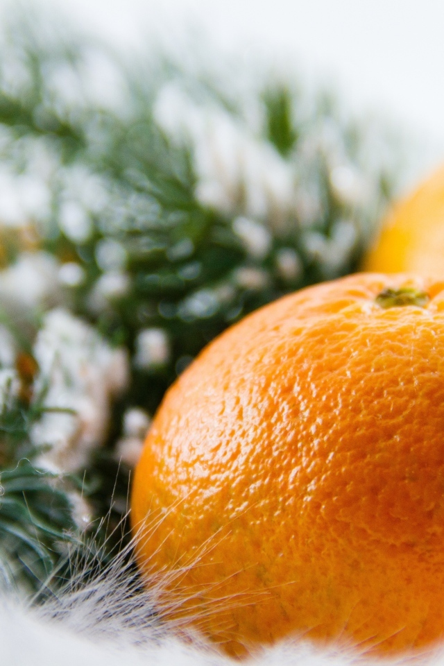 Мандарины с еловыми ветками и корицей