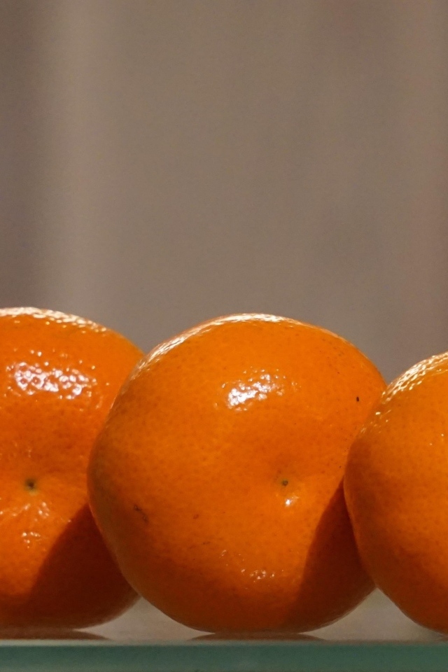 Три красивых мандарина крупным планом