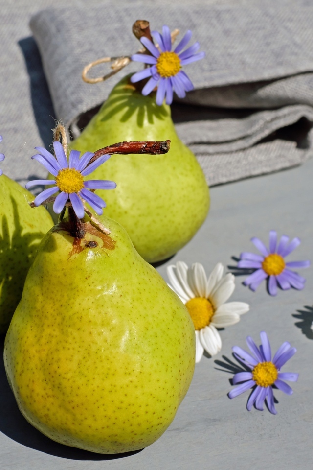 Три зеленые груши с цветами
