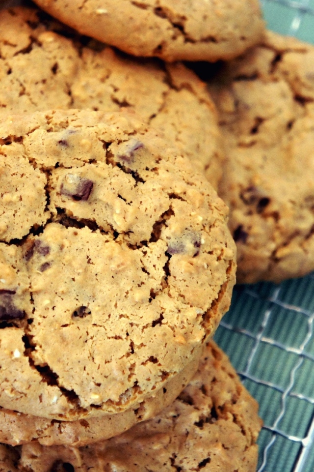 Аппетитное круглое печенье с шоколадом