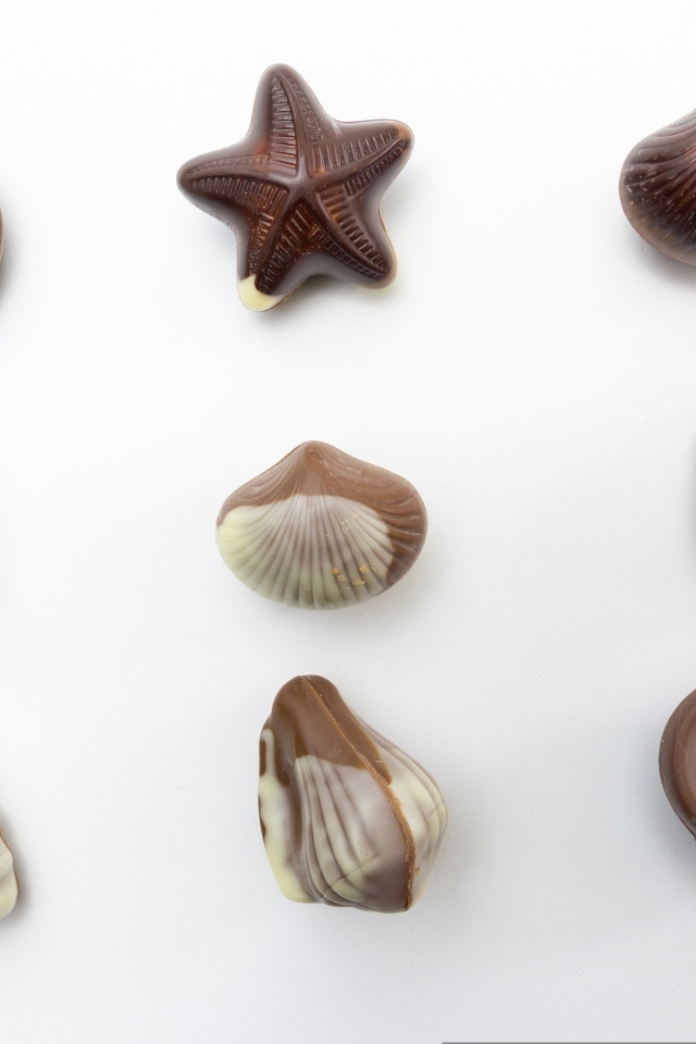 Шоколадные конфеты в форме ракушек на сером фоне