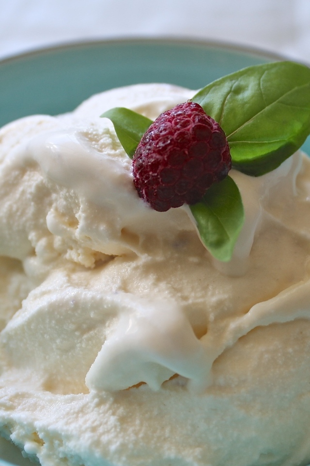 Сливочное мороженое в тарелке с ягодой малины