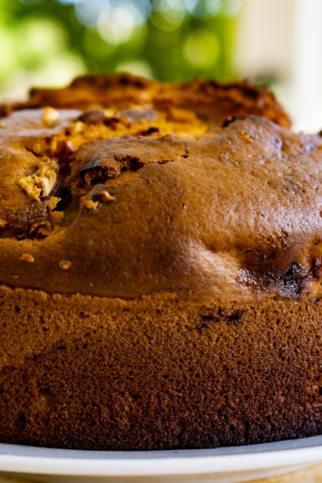 Вкусный ароматный яблочный пирог на тарелке