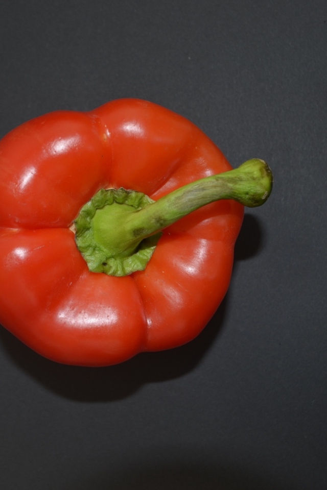 Сладкий красный перец на сером фоне