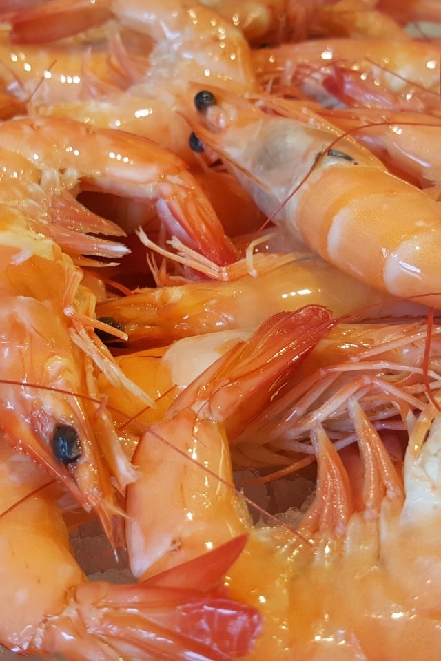 Вкусные креветки на тарелке крупным планом