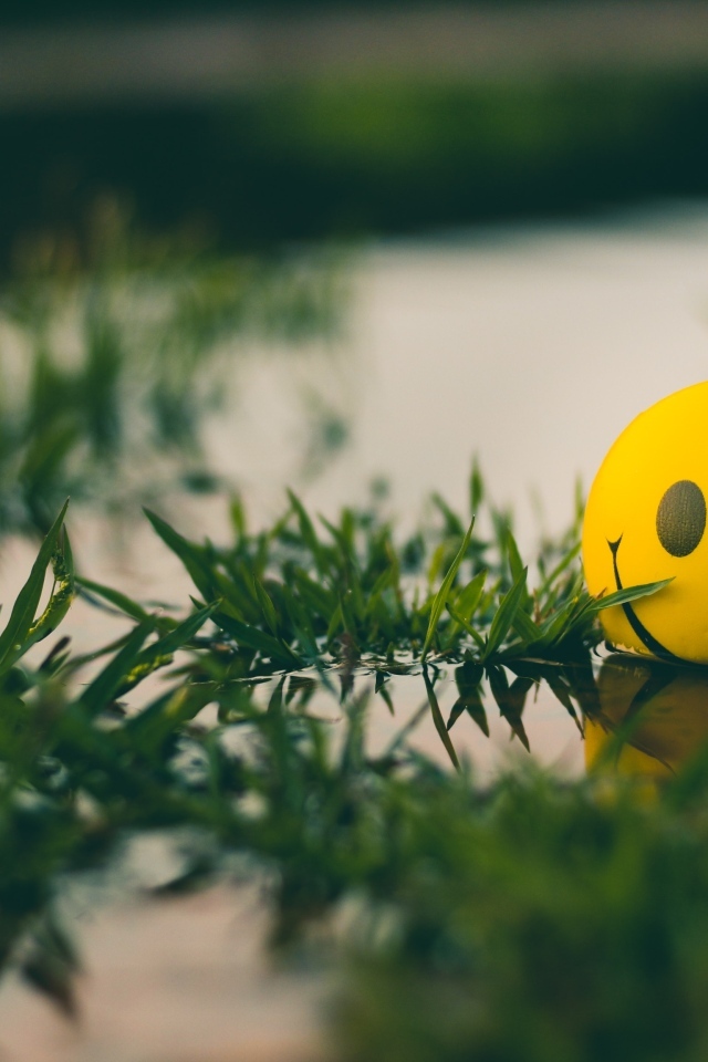 Желтый мяч смайл лежит в воде с травой