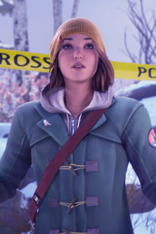 Компьютерная игра Life is Strange: Double Exposure, 2024