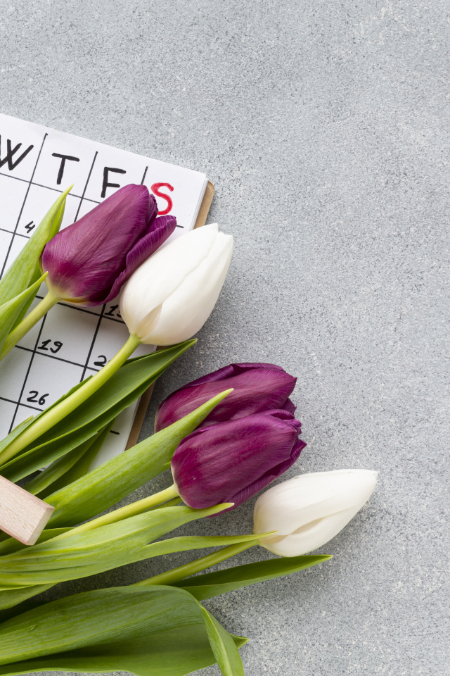 Календарь, красные туфли и букет тюльпанов на 8 марта