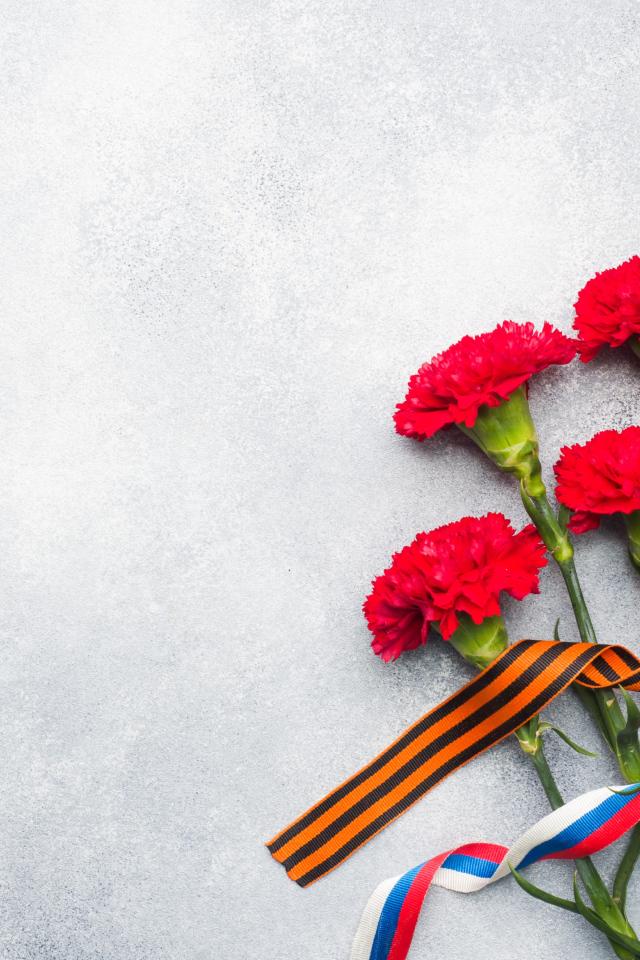 Красные гвоздики с лентами на сером фоне на День Победы 9 мая