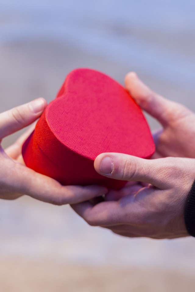 Пара держит небольшую подарочную коробку в форме сердца