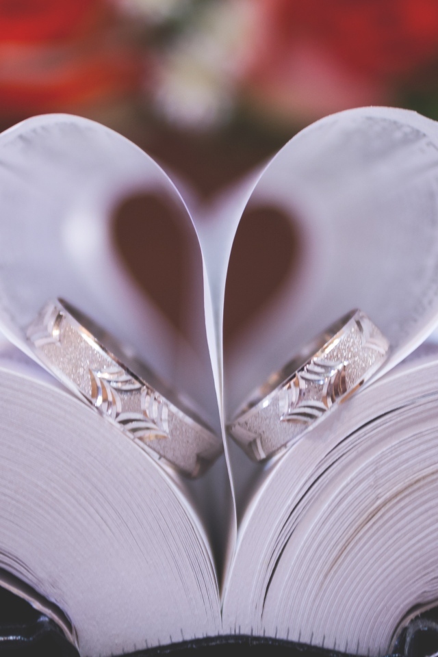 Сердце из страниц книги с кольцами