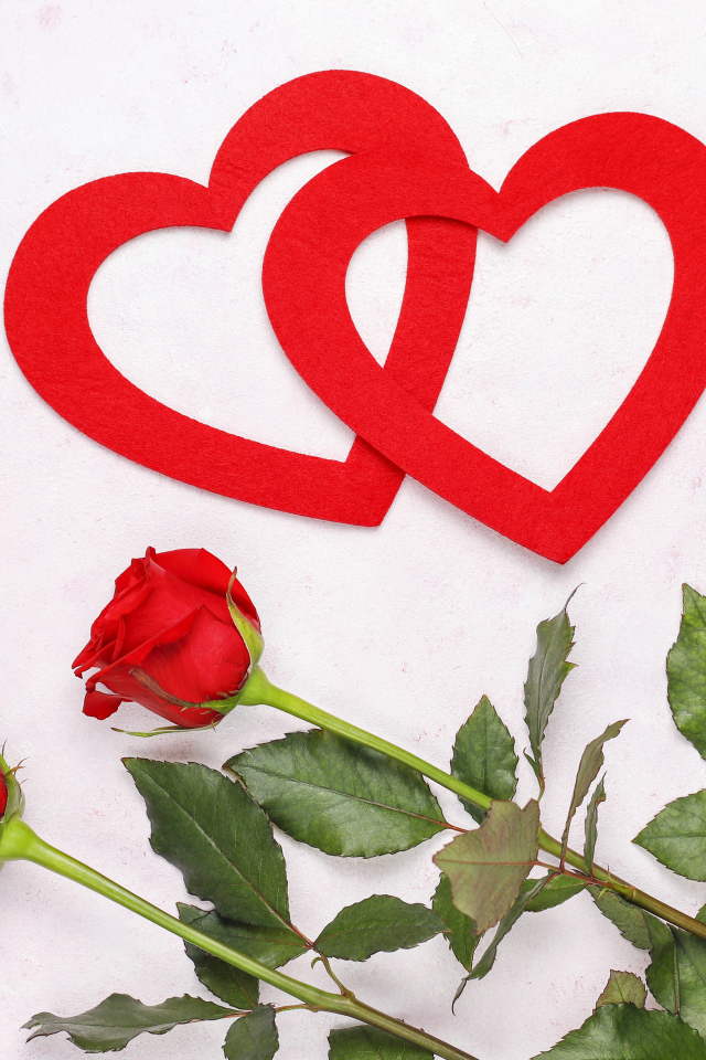Бумажные сердечки с красными розами на белом фоне