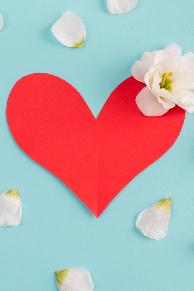 Красное сердце с белыми лепестками на голубом фоне