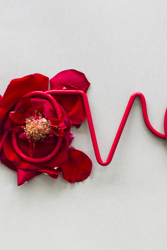 Надпись любовь на сером фоне с цветком 