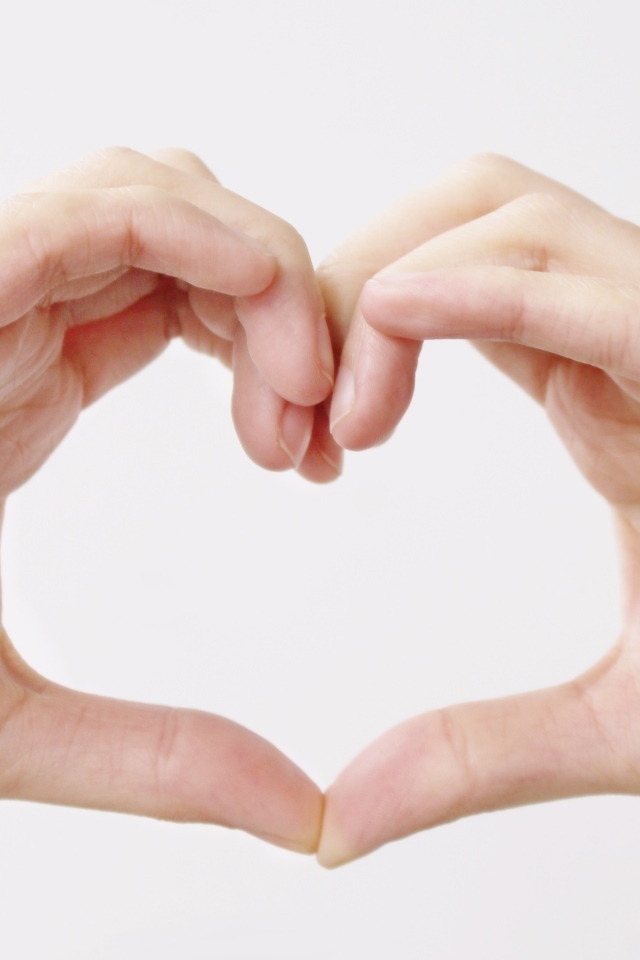 Две руки делают сердце на белом фоне