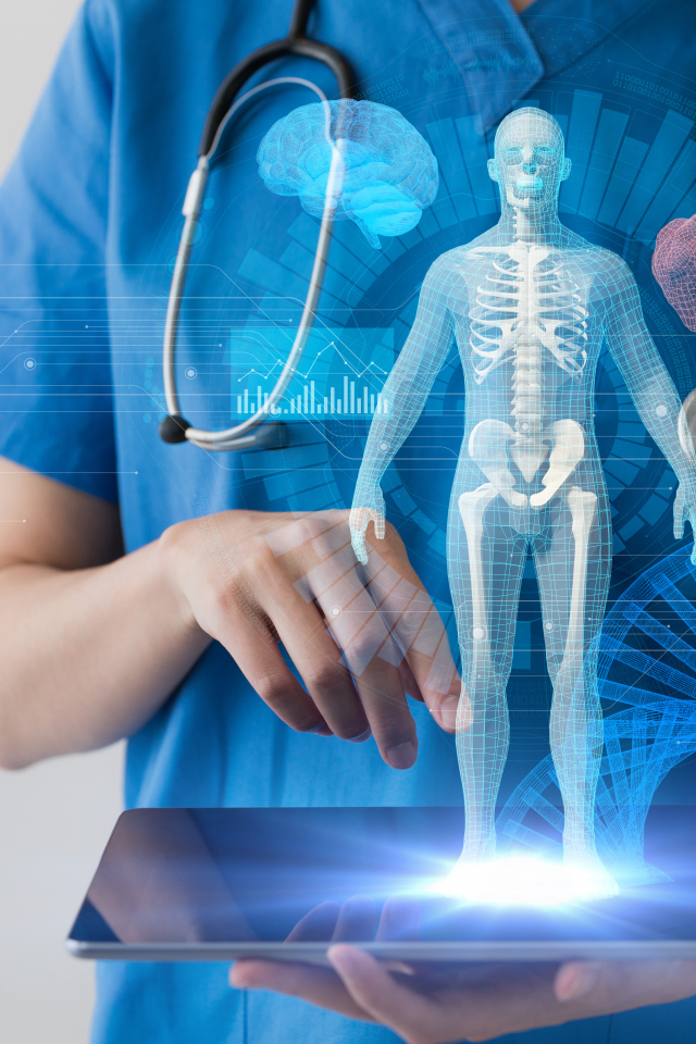 Доктор с макетом человека на планшете