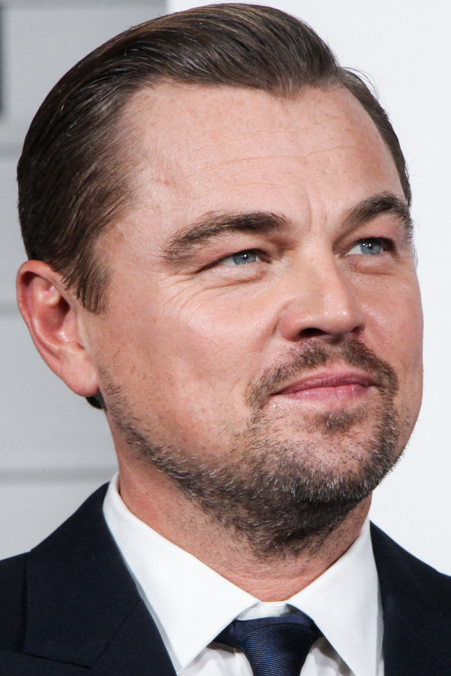 Стильный мужчина актер Леонардо Ди Каприо