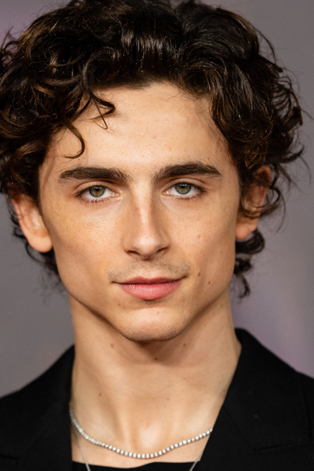 Молодой актер Тимоти Шаламе