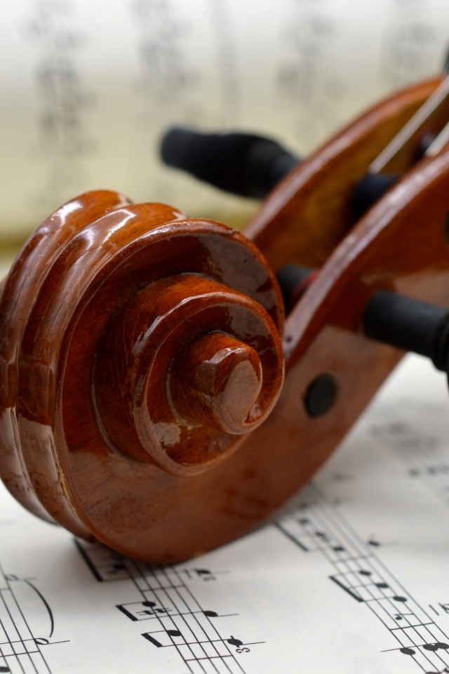 Скрипка с нотами крупным планом