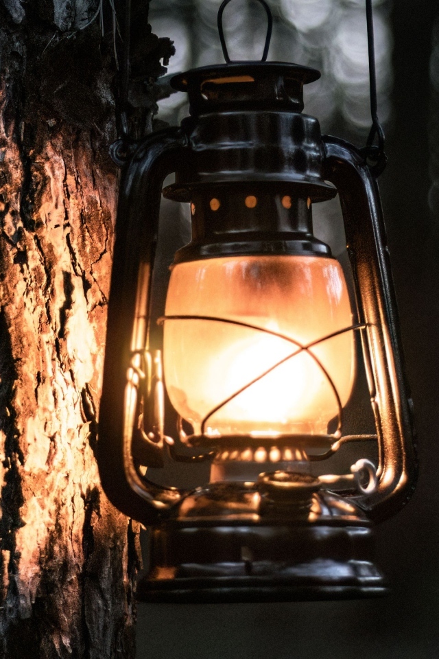 Светящийся фонарь висит на дереве
