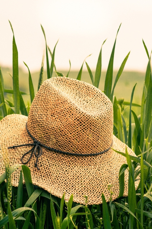 Соломенная шляпа на поле с зелеными колосьями пшеницы