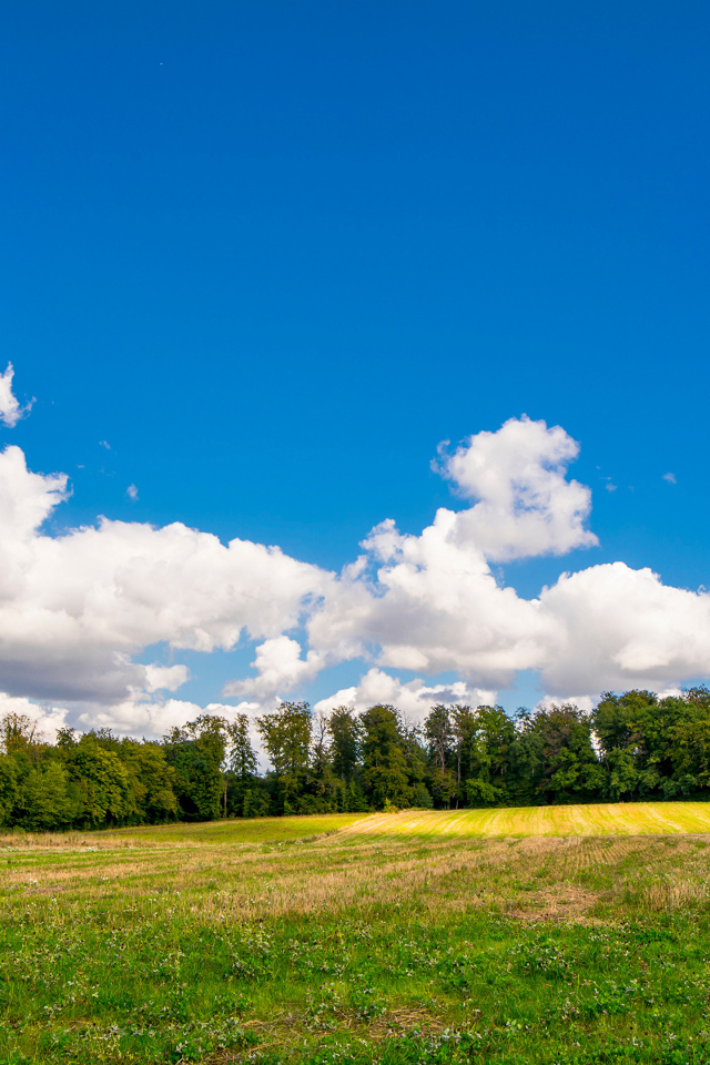 Белые густые облака над зеленым полем