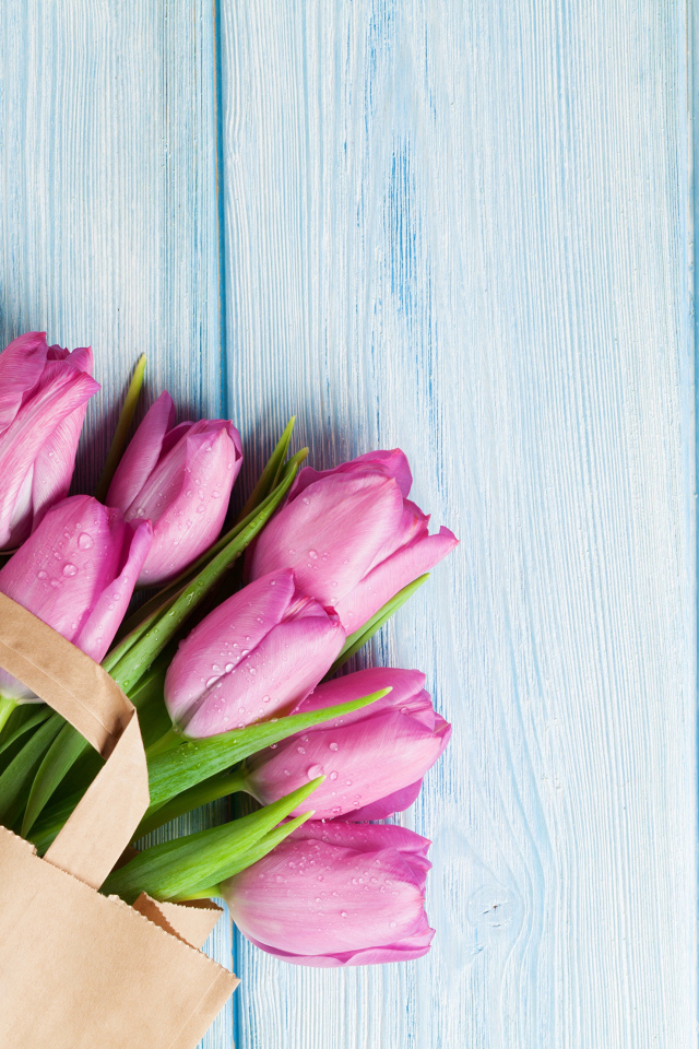 Пакет розовых тюльпанов на голубом столе