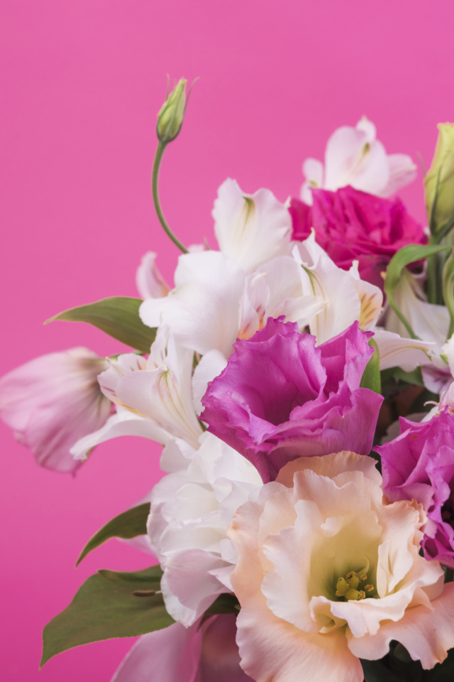 Красивый букет разноцветных цветов эустомы на розовом фоне