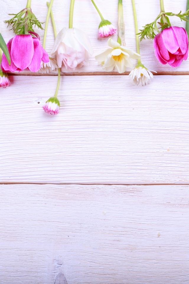 Красивые разноцветные весенние цветы на деревянном фоне