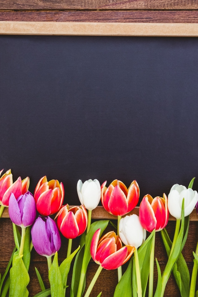Красивые разноцветные тюльпаны с рамкой на деревянном столе