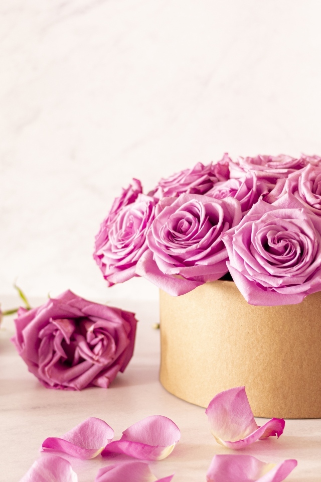 Красивые розовые розы в картонной коробке на белом фоне