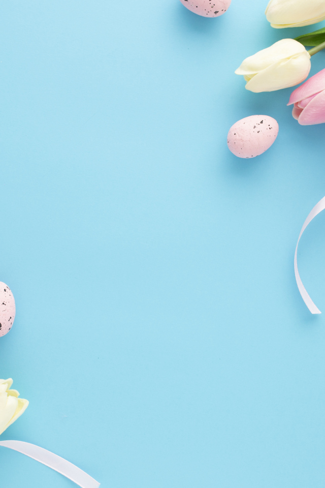 Красивые тюльпаны с яйцами на голубом фоне