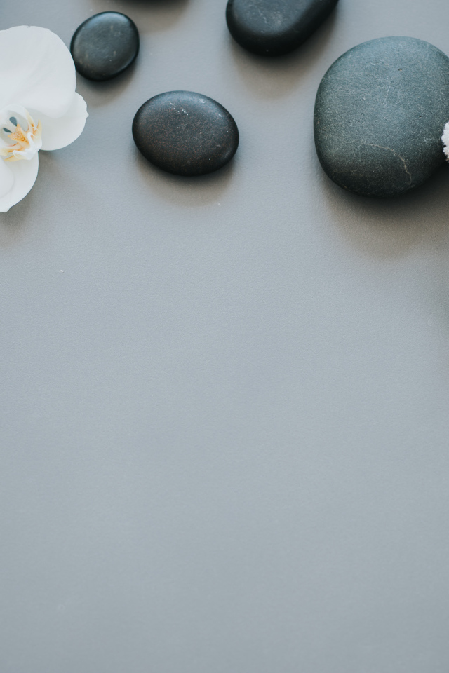 Черные камни с цветами орхидеи и полотенцем на сером фоне