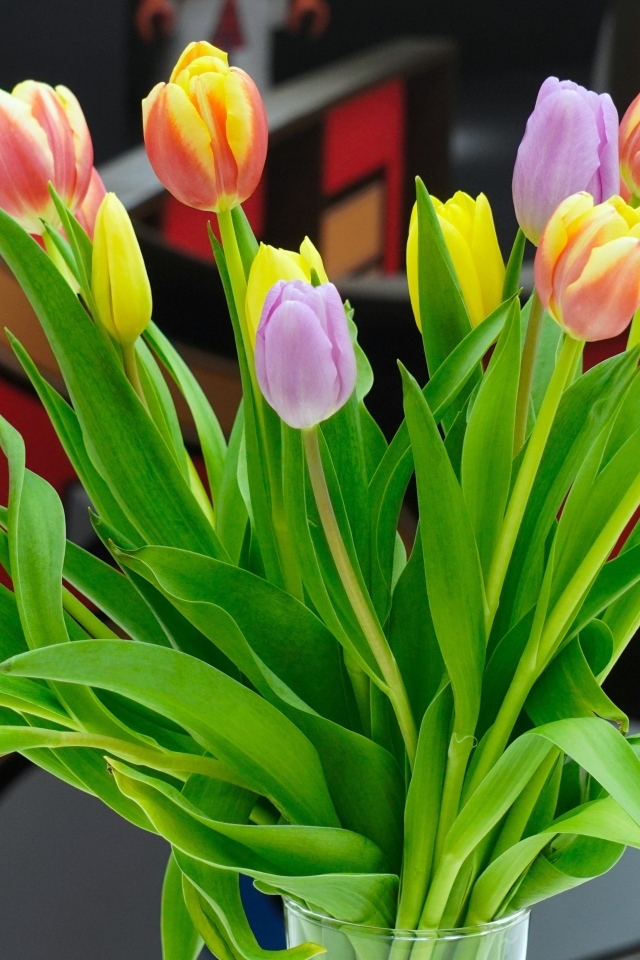 Букет красивых разноцветных тюльпанов в стеклянной вазе