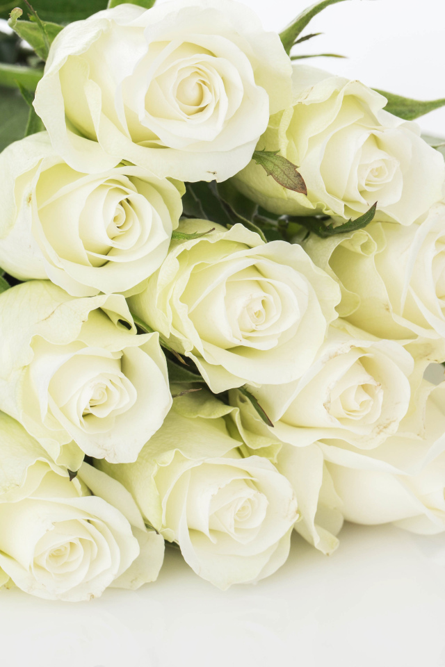 Букет шикарных белых  роз 