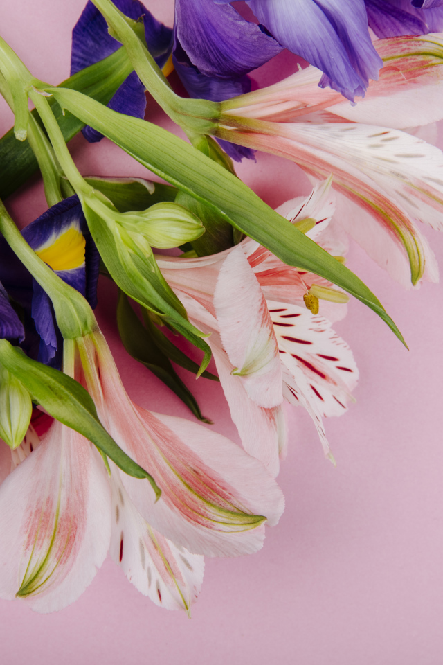 Букет из цветов ириса и альстромерии на розовом фоне