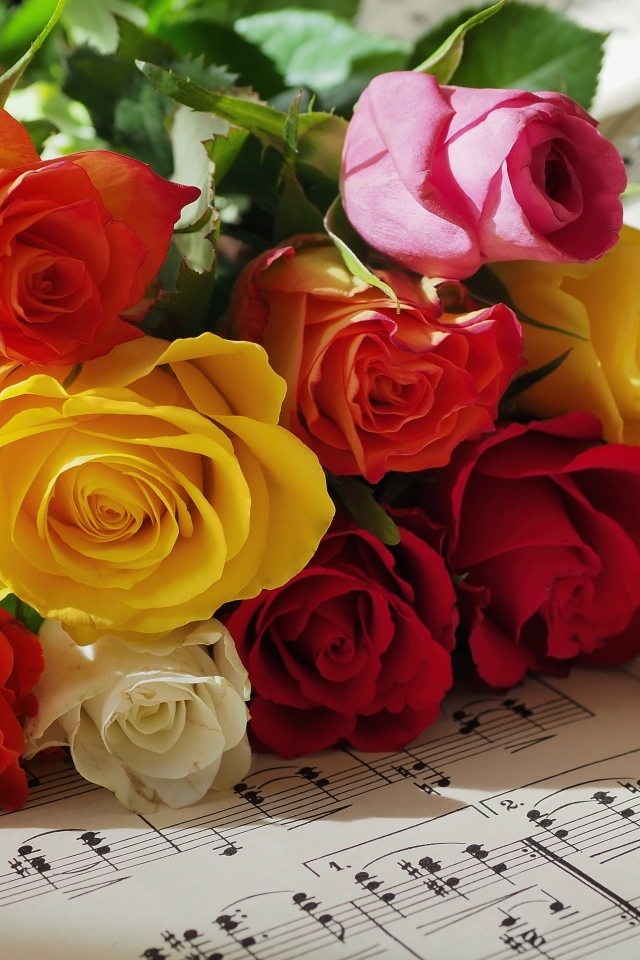 Букет разноцветных роз на нотной тетради