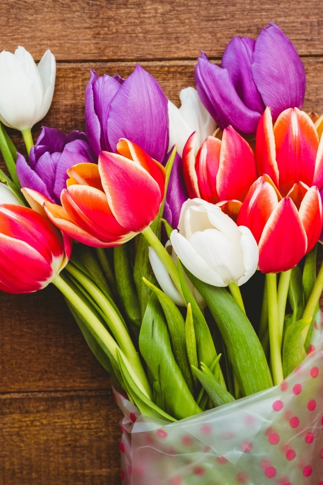 Букет разноцветных тюльпанов в пакете на деревянном фоне